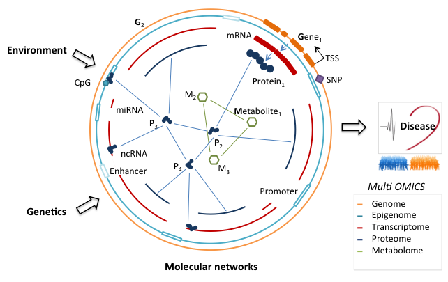 Using regulatory networks to understand complex traits